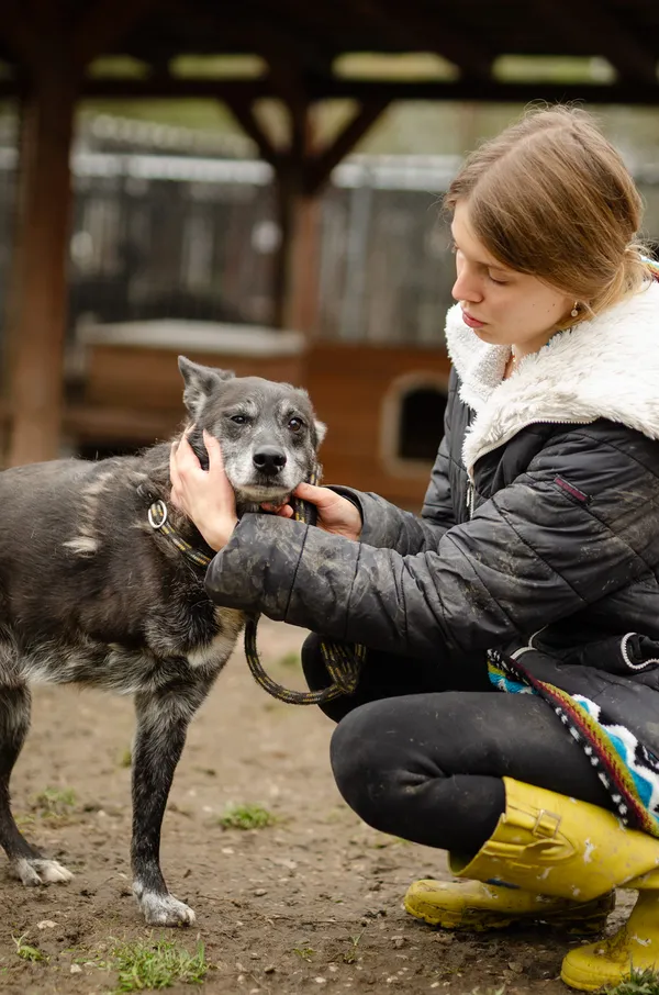 Oddam psa, Sopot, 21 marca 2025 (3/3)