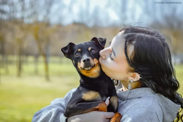 Pies do adopcji, Radom, 12 maja 2025 (5/5)