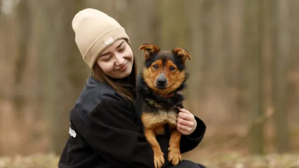 Pies do adopcji, Elbląg, 24 marca 2025 (1/5)