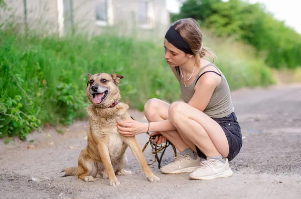 Oddam psa, Szłapy, 25 marca 2025 (1/3)