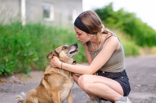 Oddam psa, Szłapy, 25 marca 2025 (2/3)