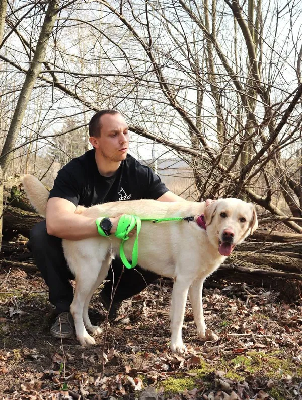 Znaleziono psa, Łódź, 25 marca 2025 (4/5)