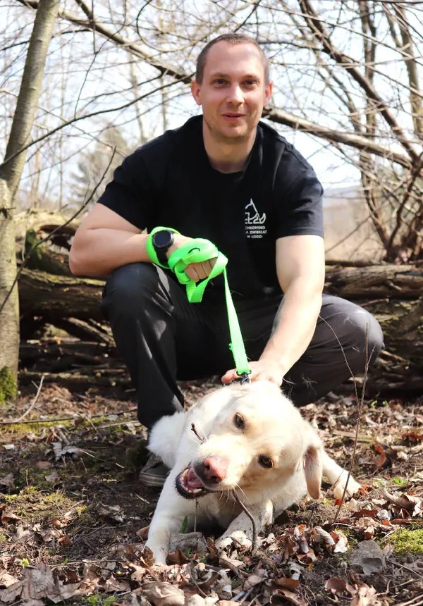 Znaleziono psa, Łódź, 25 marca 2025 (5/5)