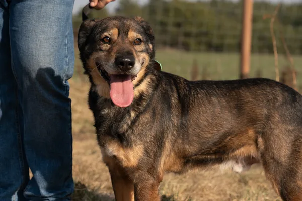 Oddam psa, Włocławek, Zawiśle, 27 marca 2025 (1/4)