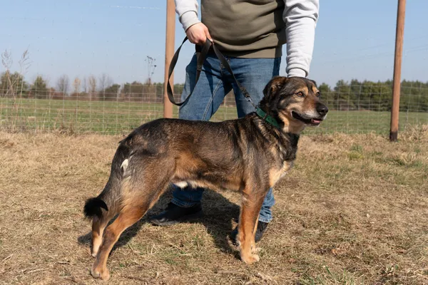 Oddam psa, Włocławek, Zawiśle, 27 marca 2025 (3/4)