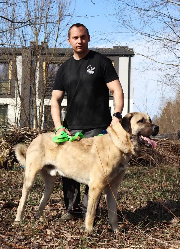 Znaleziono psa, Łódź, 29 marca 2025 (5/5)