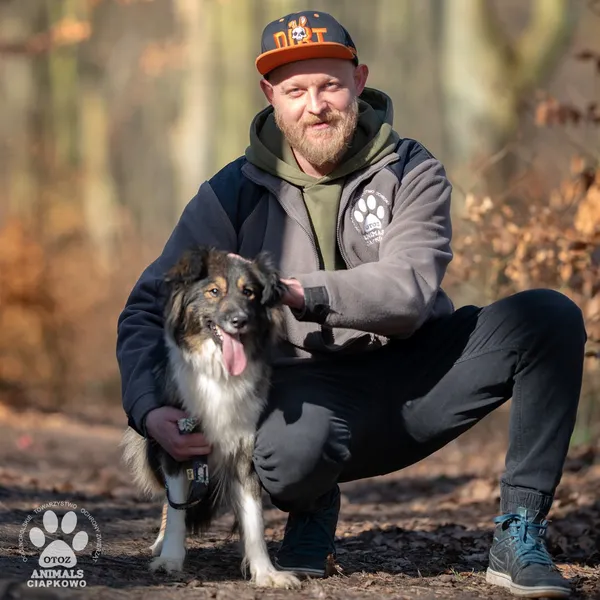 Pies do adopcji, Gdynia, 31 marca 2025 (3/5)