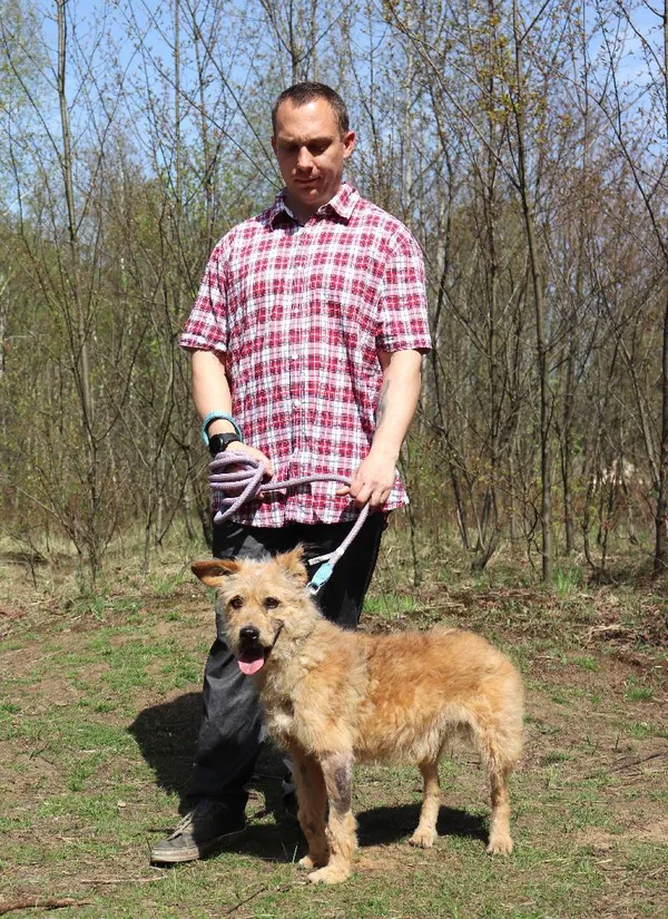 Znaleziono psa, Łódź, 30 marca 2025 (4/5)