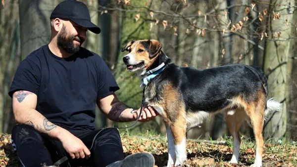 Pies do adopcji, Elbląg, 31 marca 2025 (1/5)