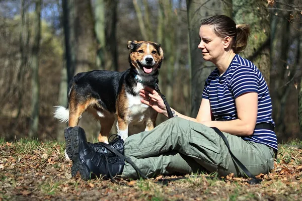 Pies do adopcji, Elbląg, 31 marca 2025 (2/5)