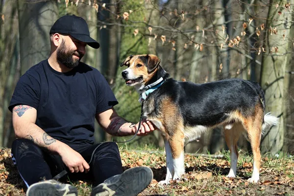 Pies do adopcji, Elbląg, 31 marca 2025 (4/5)