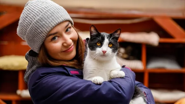 Kot do adopcji, Elbląg, 3 kwietnia 2025 (1/5)