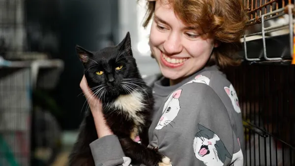 Kot do adopcji, Elbląg, 3 kwietnia 2025 (1/4)