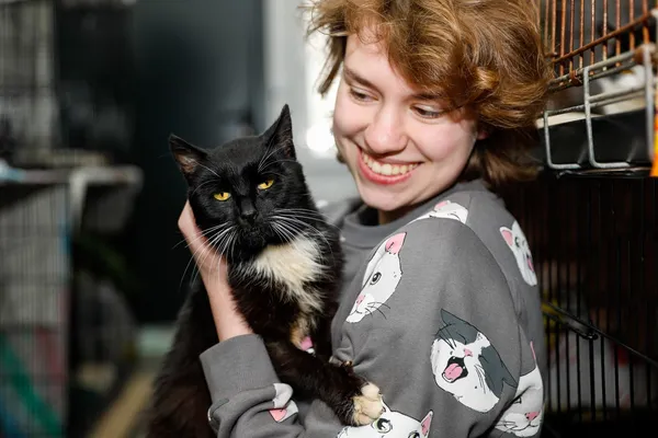 Kot do adopcji, Elbląg, 3 kwietnia 2025 (4/4)