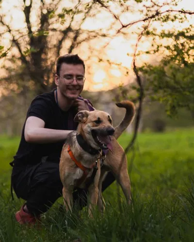 Pies do adopcji, Kraków, 20 marca 2025 (3/5)