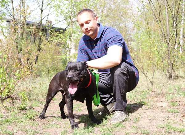 Znaleziono psa, Łódź, 3 kwietnia 2025 (3/5)