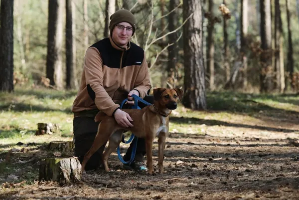 Pies do adopcji, Piła, 10 marca 2025 (4/5)