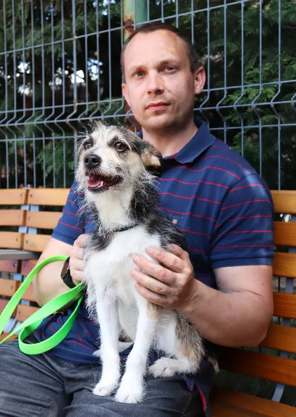 Znaleziono psa, Łódź, 5 kwietnia 2025 (3/5)