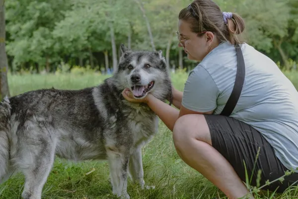 Pies do adopcji, Radom, 2 sierpnia 2025 (4/5)