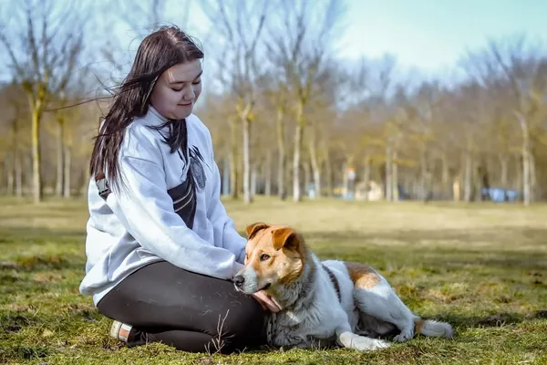 Pies do adopcji, Radom, 8 kwietnia 2025 (4/5)