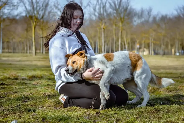 Pies do adopcji, Radom, 8 kwietnia 2025 (5/5)