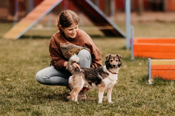 Pies do adopcji, Czartki, 8 kwietnia 2025 (2/5)