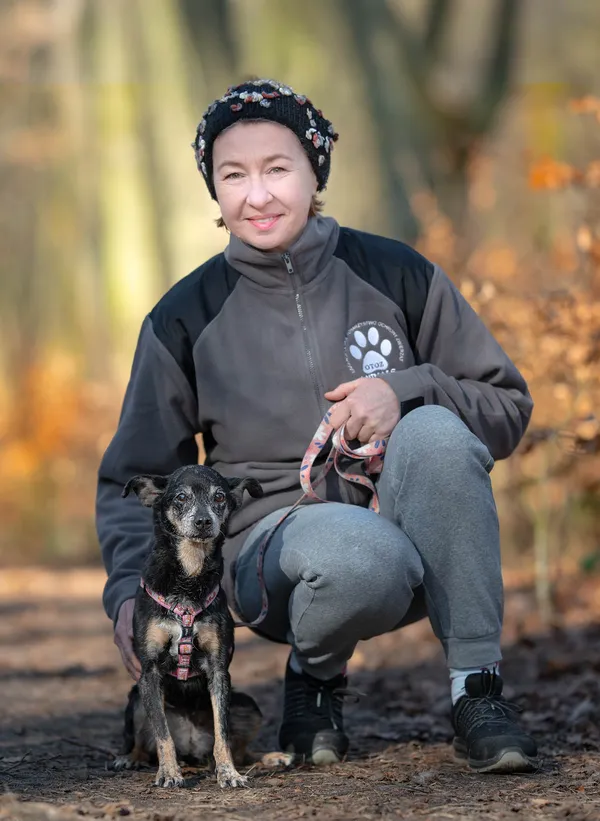 Pies do adopcji, Gdynia, 9 kwietnia 2025 (3/4)