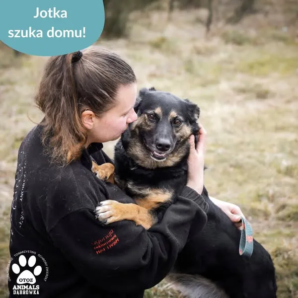 Pies do adopcji, Dąbrówka, 10 kwietnia 2025 (2/5)