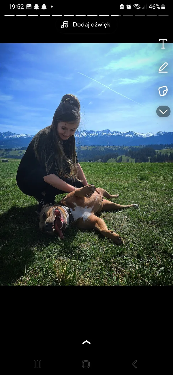 Zaginął pies, Sieniawa, 11 kwietnia 2025 (1/3)