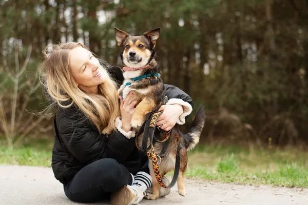 Pies do adopcji, Nowodwór, 11 kwietnia 2025 (2/5)