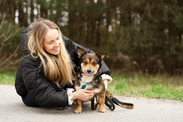 Pies do adopcji, Nowodwór, 11 kwietnia 2025 (4/5)