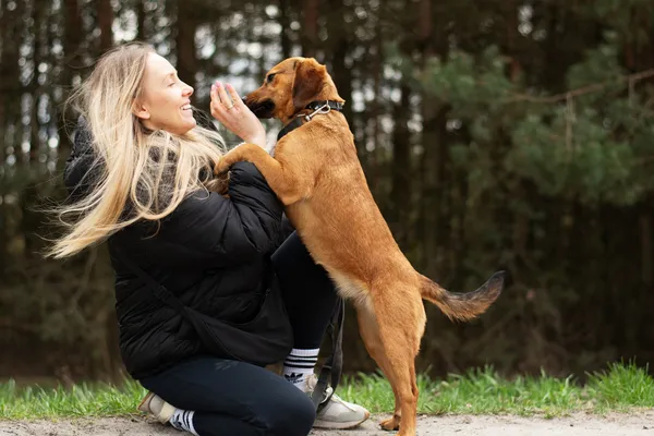Pies do adopcji, Nowodwór, 11 kwietnia 2025 (2/5)