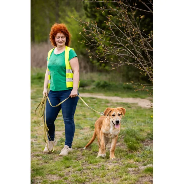 Znaleziono psa, Białystok, 12 kwietnia 2025 (3/3)