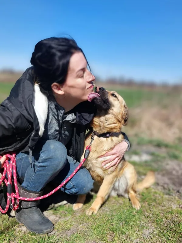 Oddam psa, Częstochowa, Grabówka, 1 maja 2025 (2/5)