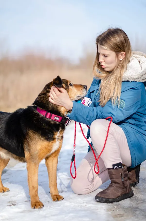 Oddam psa, Gdańsk, Niedźwiednik, 1 maja 2025 (2/4)