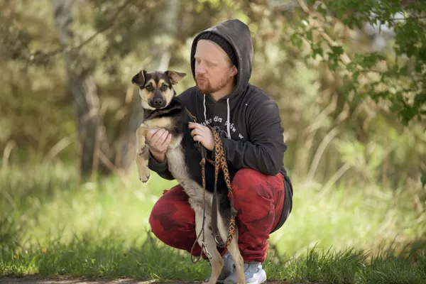 Pies do adopcji, Nowodwór, 7 maja 2025 (1/5)