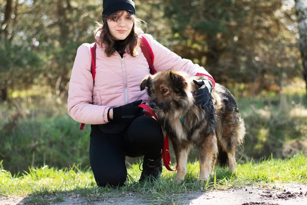 Pies do adopcji, Nowodwór, 7 maja 2025 (3/5)