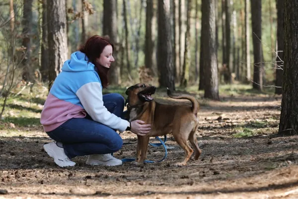 Pies do adopcji, Piła, 6 marca 2025 (3/5)