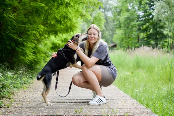 Znaleziono psa, Sosnowiec, 9 maja 2025 (4/5)