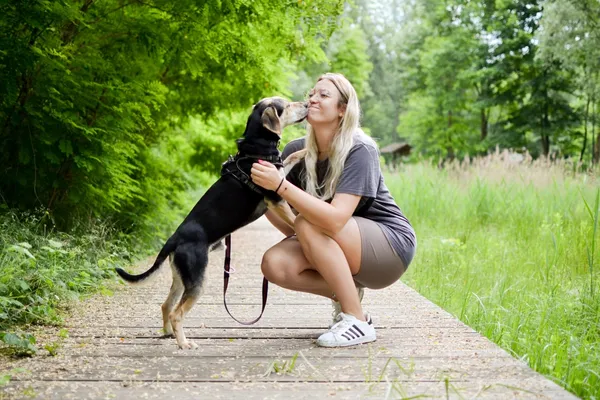 Znaleziono psa, Sosnowiec, 9 maja 2025 (5/5)