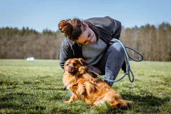 Pies do adopcji, Radom, 10 lipca 2025 (2/5)