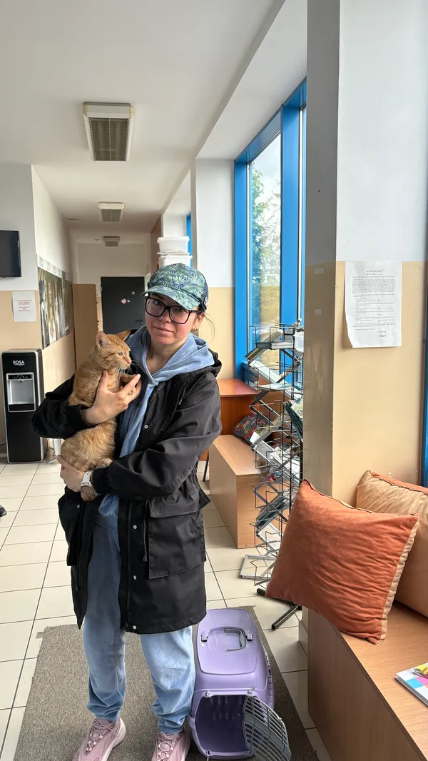 Kot do adopcji, Gdańsk, 14 maja 2025