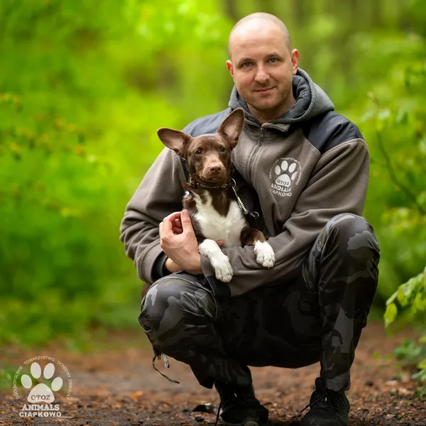 Pies do adopcji, Gdynia, 19 maja 2025 (3/4)