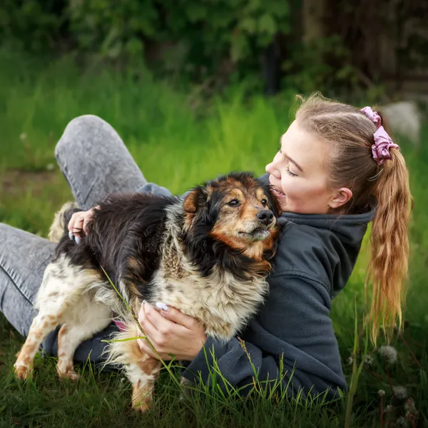 Pies do adopcji, Starogard Gdański, 19 maja 2025 (3/4)