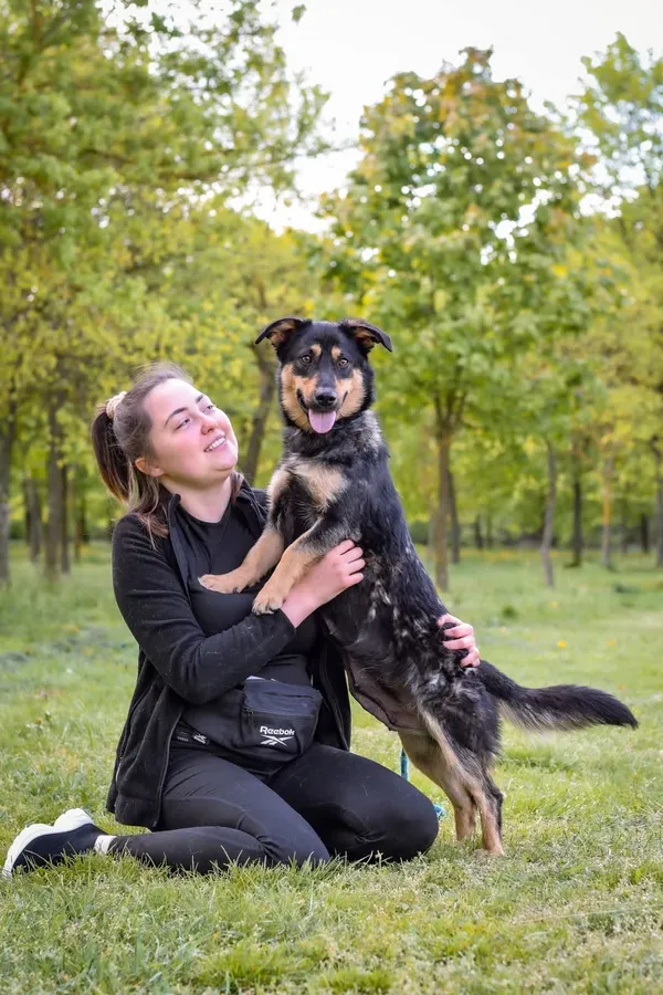 Pies do adopcji, Radom, 19 maja 2025 (5/5)