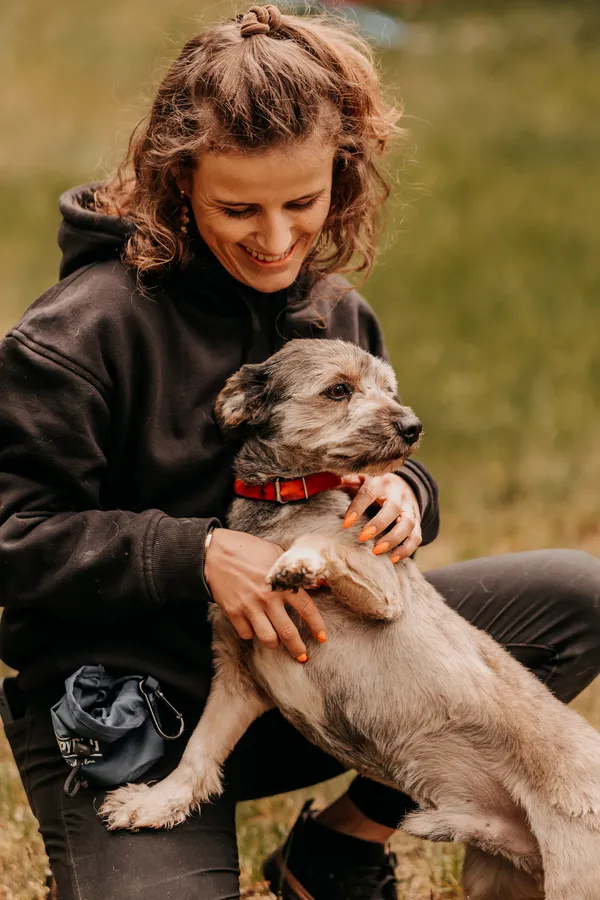 Pies do adopcji, Czartki, 22 maja 2025 (4/5)