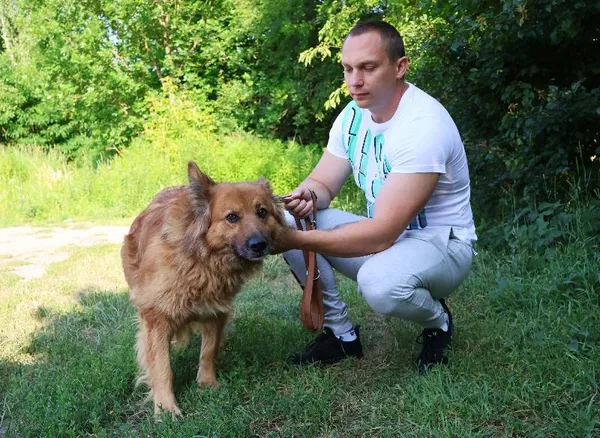 Znaleziono psa, Łódź, 24 maja 2025 (5/5)