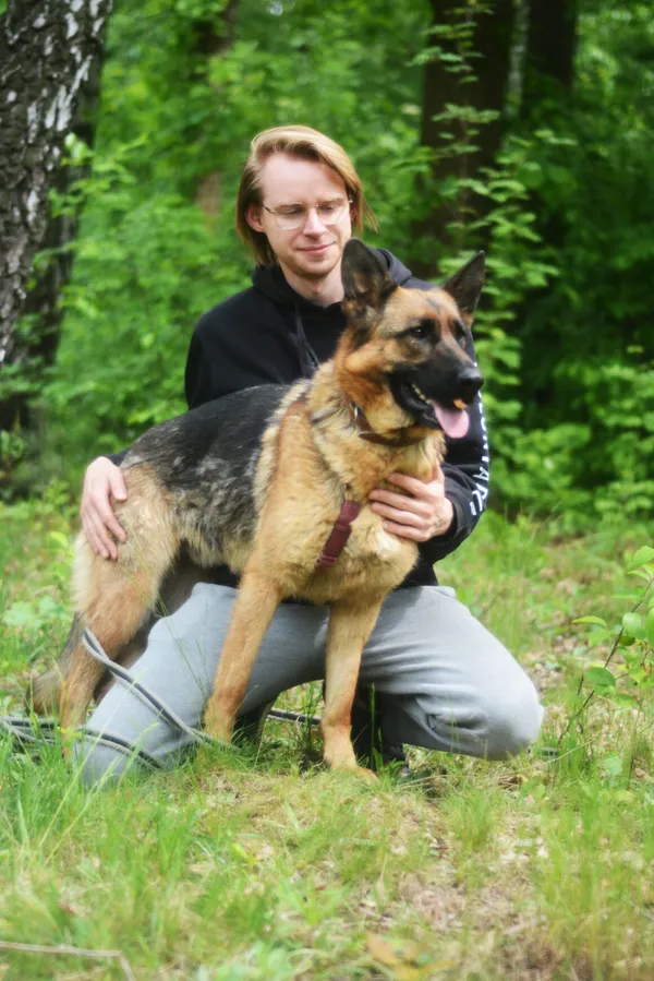 Pies do adopcji, Milanówek, 25 maja 2025 (5/5)