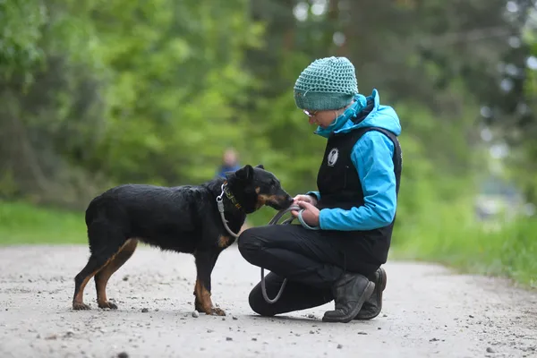 Pies do adopcji, Nowodwór, 28 maja 2025 (4/5)