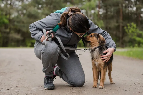 Pies do adopcji, Nowodwór, 28 maja 2025 (1/5)